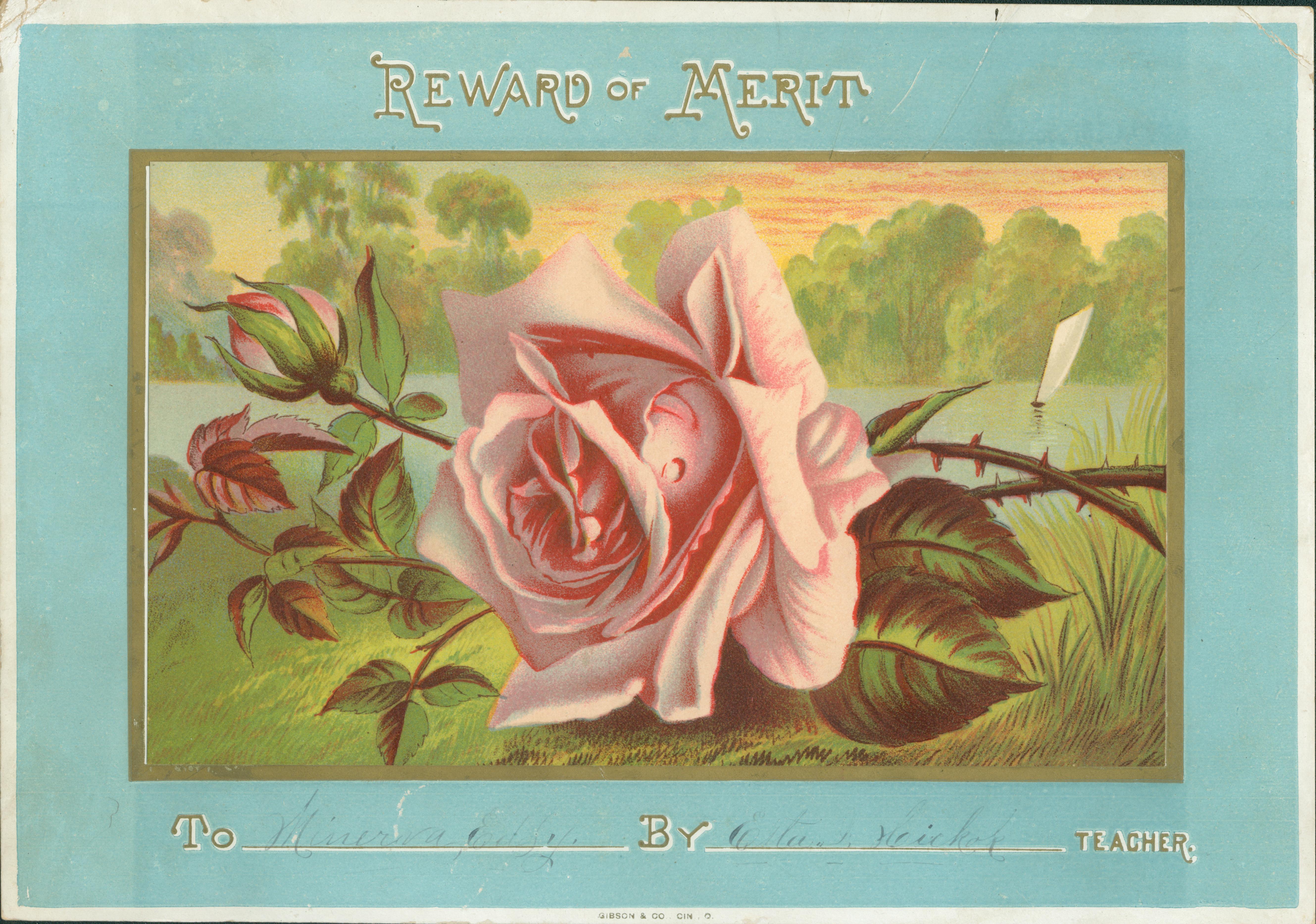 Image of rose pasted to mounting board.